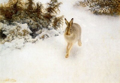 Winter Hare by Bruno Andreas Liljefors
